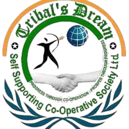 Tribal's Dream Logo